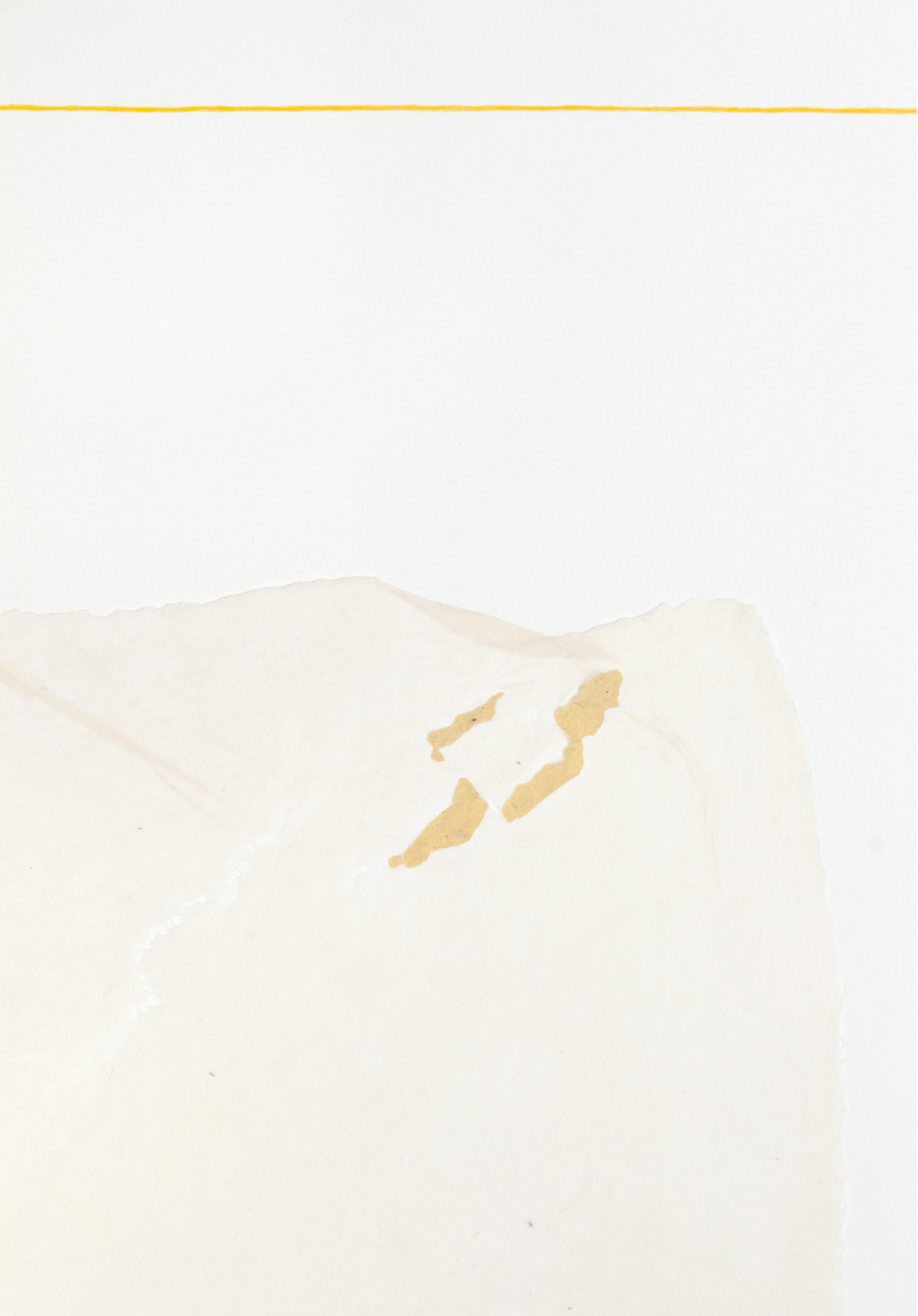 Miriam Salamander, paperwork, collage, yelloe pencil drawing on white handmade abaca paper