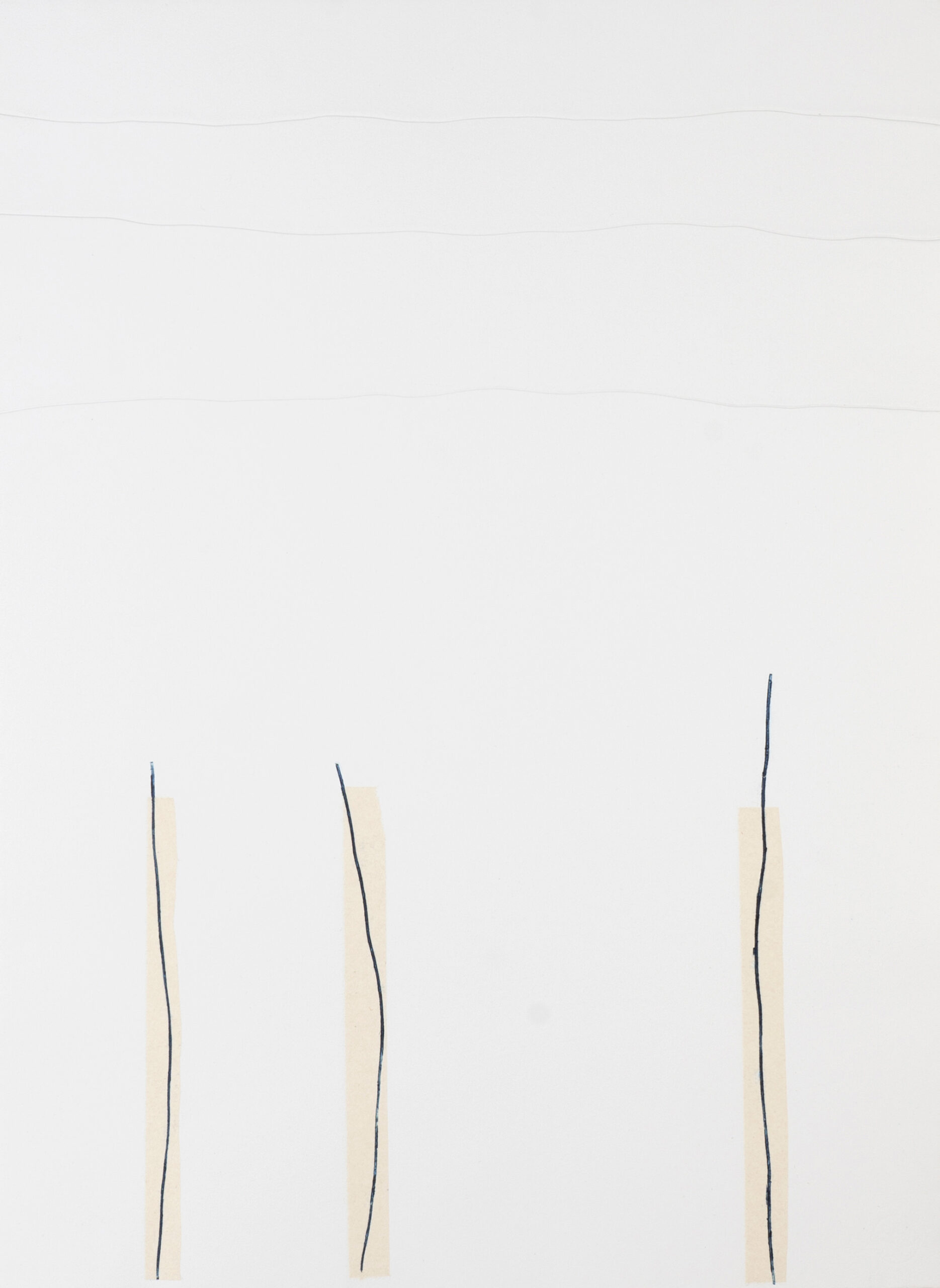 Miriam Salamander blaue Linien auf weißen Papier, Praegedruck
