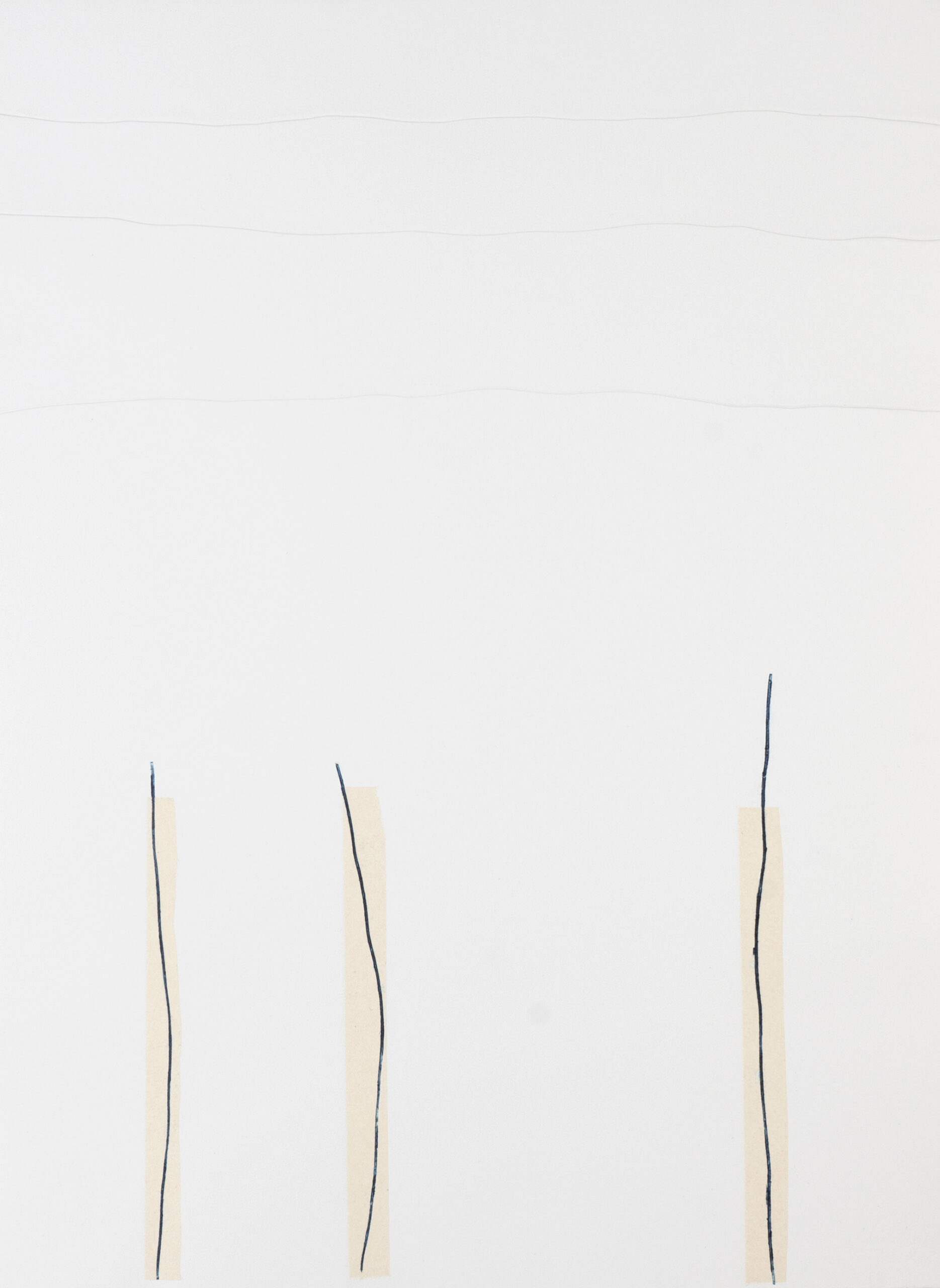 Miriam Salamander blaue Linien auf weißen Papier, Praegedruck