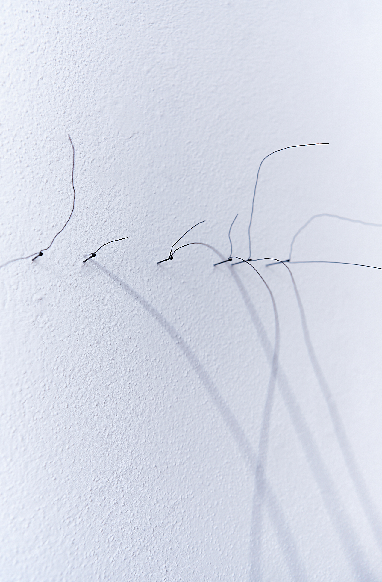 six black nails in a white wall. Blurry black lines are attached to the nails in the wall